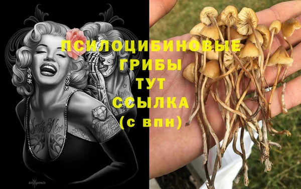 гашиш Арсеньев
