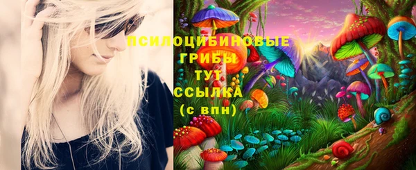 стафф Армянск